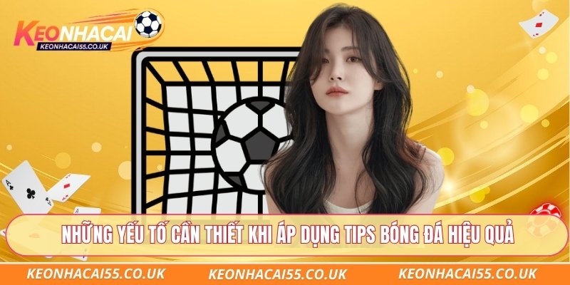 Những yếu tố cần thiết khi áp dụng tips bóng đá hiệu quả